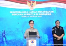 Bantu Penanganan Karhutla di Indonesia, Jepang Siapkan Tiga Helikopter